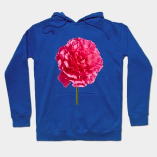 Hot pink carnation blossom Hoodie